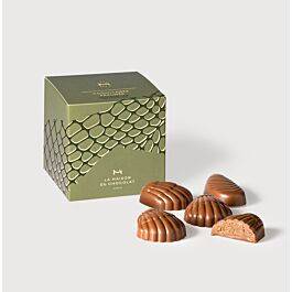 Étui Fritures Pralinés Chocolat Lait sur fond gris