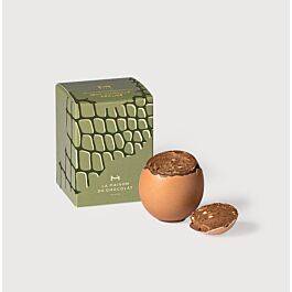 Œuf Coquille Praliné de Pâques sur fond gris